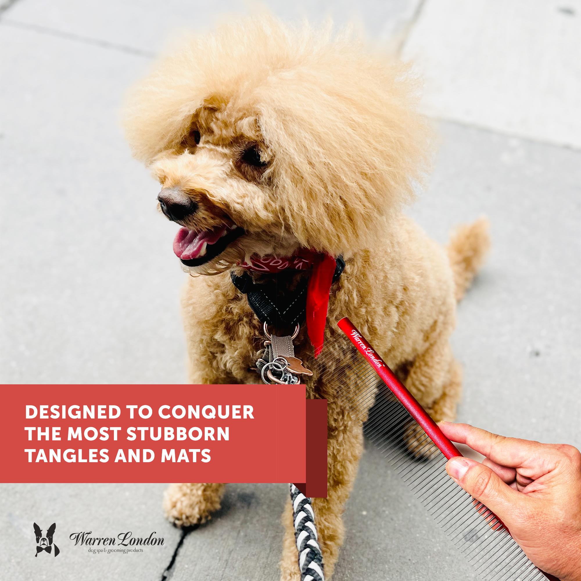 Detangling Comb for Dogs - 10" Strong and Durable Grooming