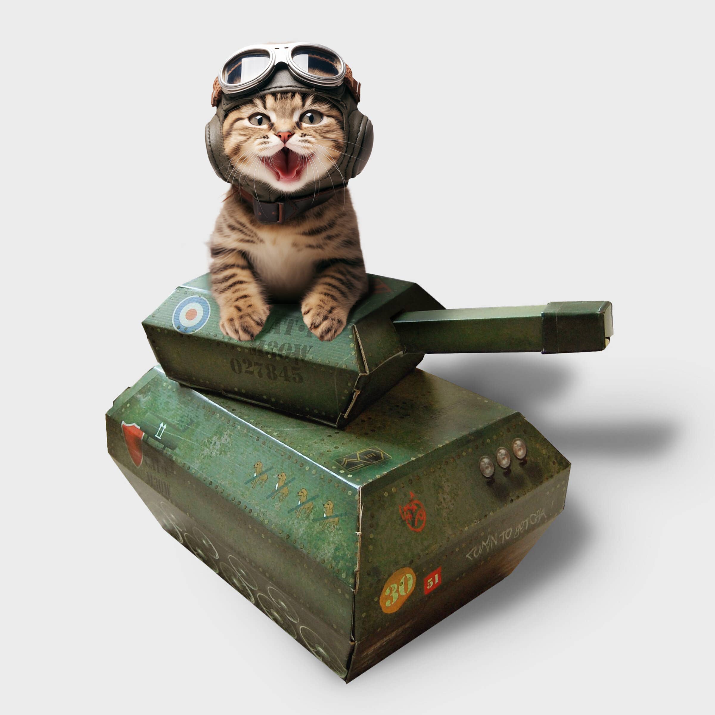 Cat Playhouse Tank