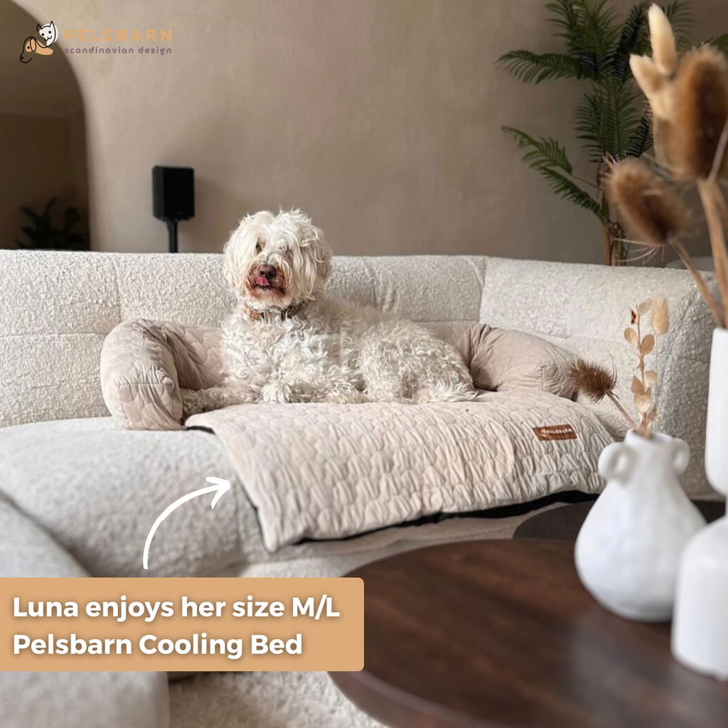 Cooling Dog Bed Heat Relief - Pelsbarn : Light Blue / M/L