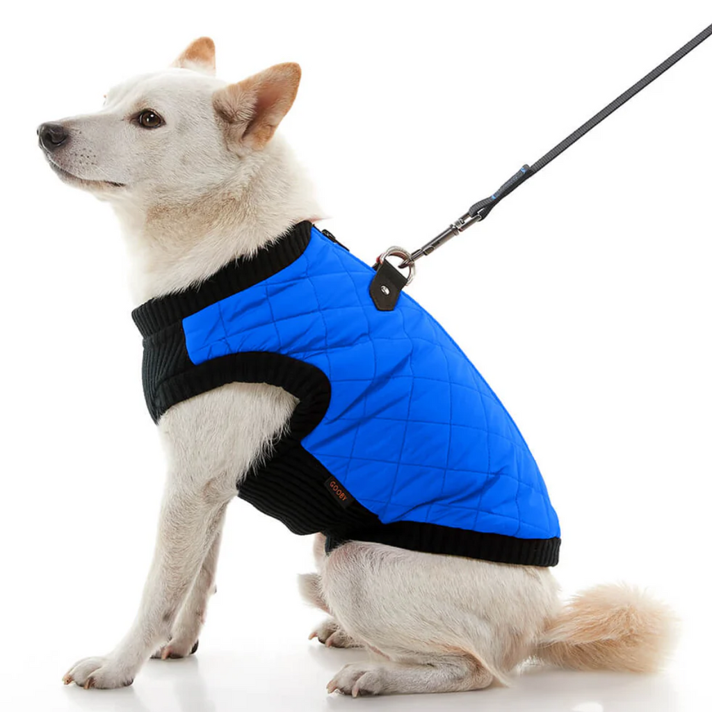 Bomber Vest: Blue