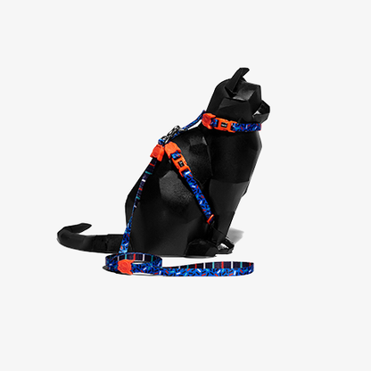 Atlanta | Cat Harness with Leash