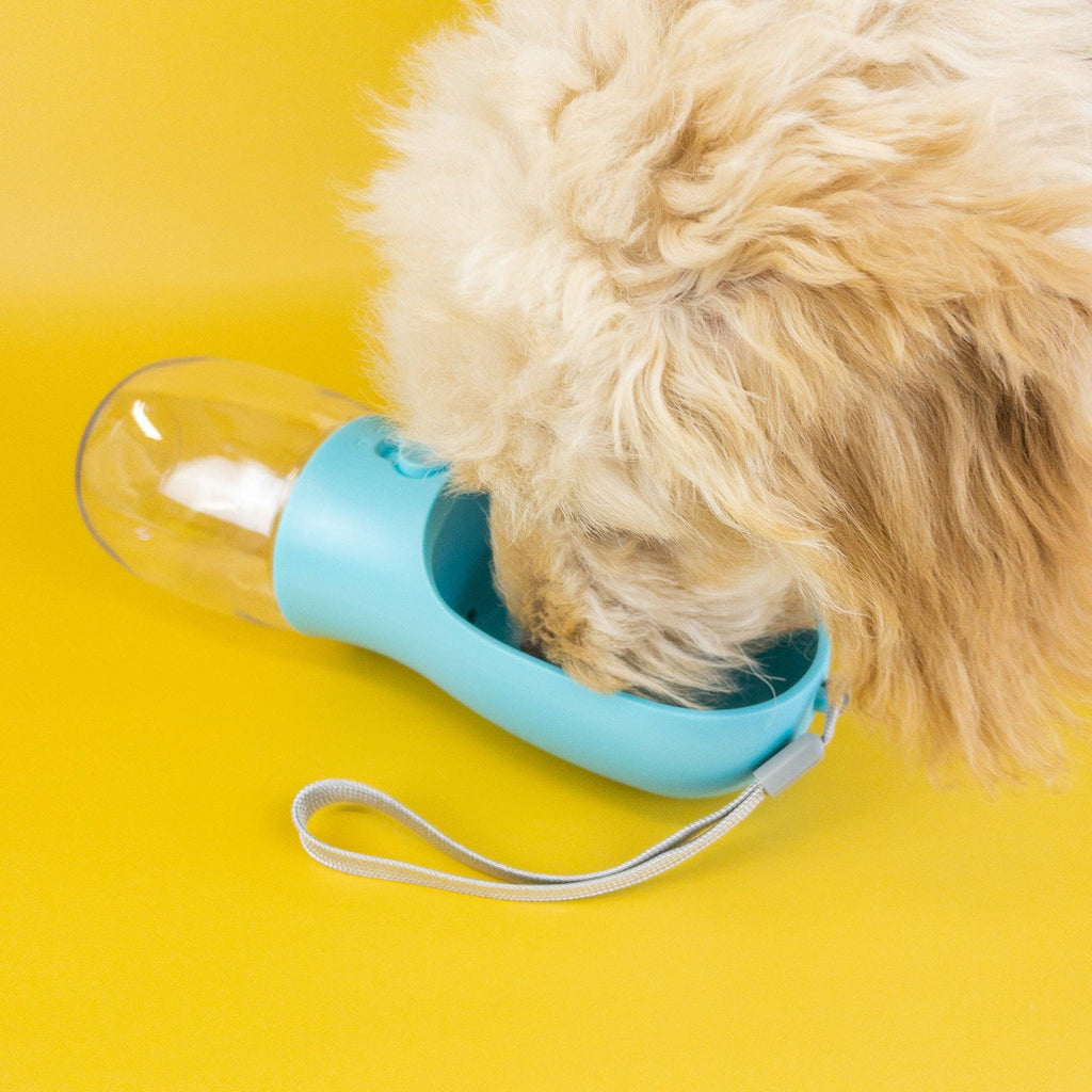 Pet Water Bottle: Pink