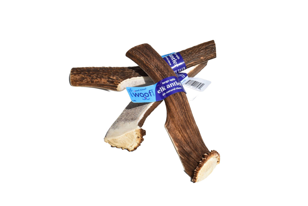 Elk Antler (Large) - Split: Single