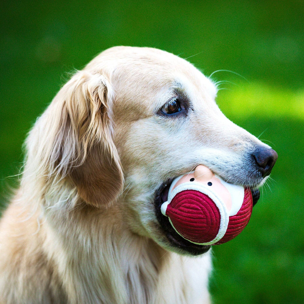 Santa Ruff-Tex® Ball Dog Toy