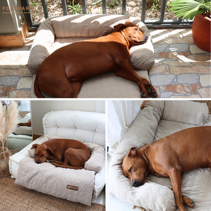 Cooling Dog Bed Heat Relief - Pelsbarn : Light Blue / M/L
