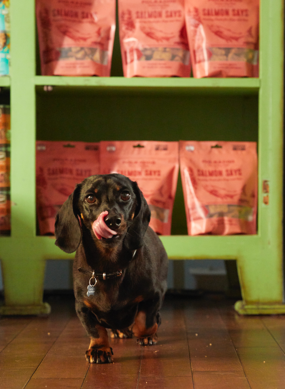 Salmon Says (Bone Shaped) - 7oz - Dog Treats