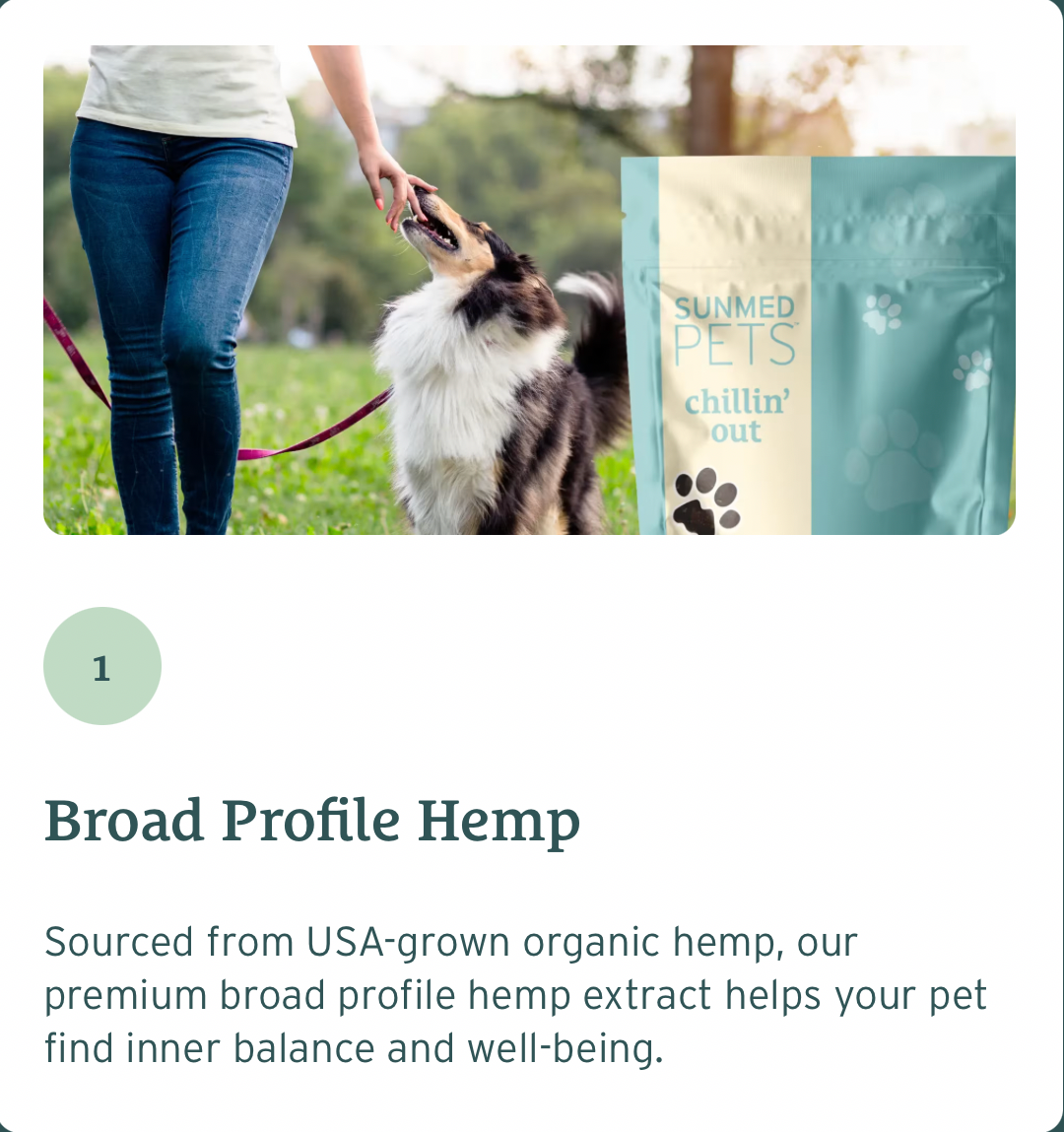 Sunmed Chillin CBD Chews