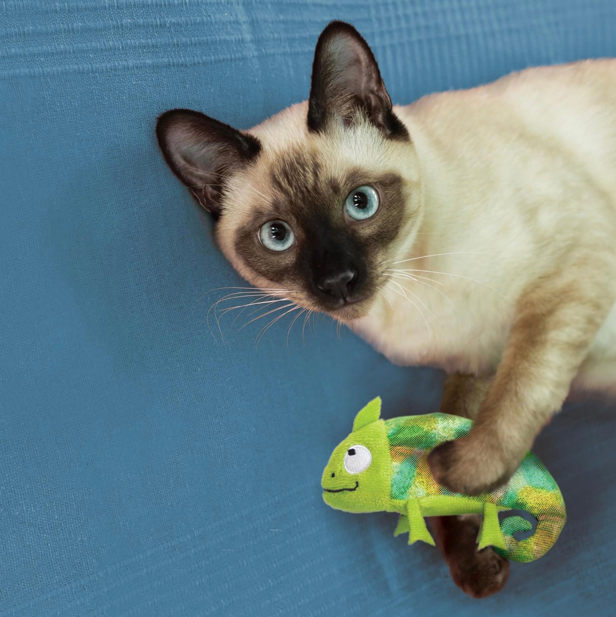 Kong Refillables Chameleon Cat Toy