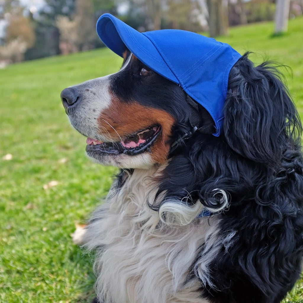 NFL Buffalo Bills Pet Baseball Hat
