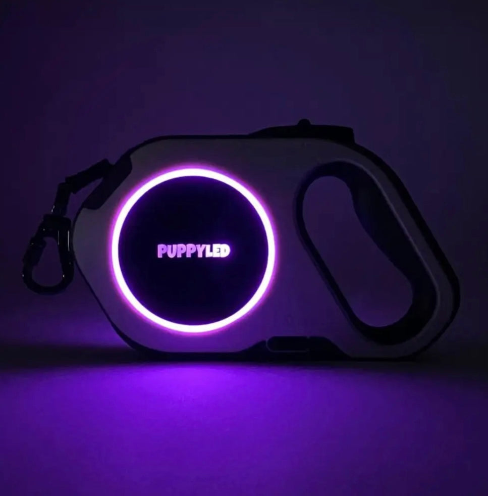 LED Retractable Dog Leash