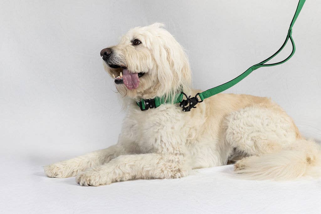 Smaller Size - Blue Dual-Handle 4 ft Dog Leash