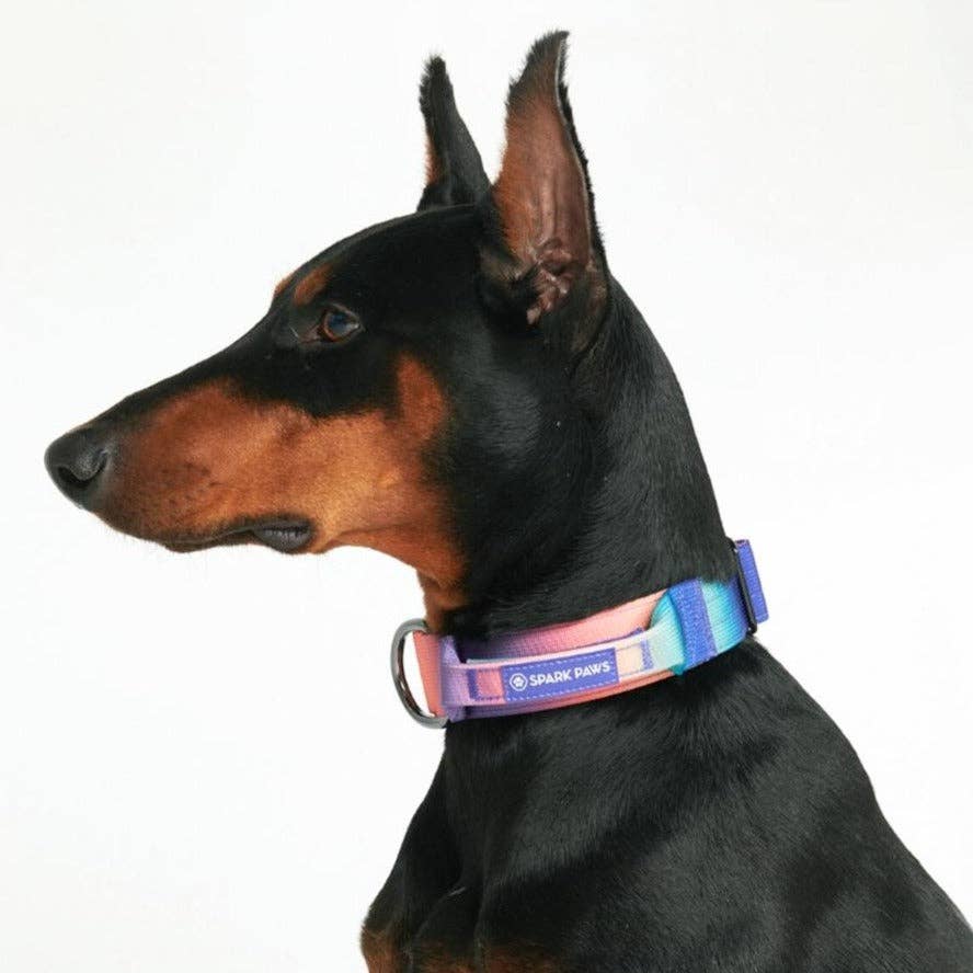 Tactical Dog Collar - Kaleidoscope (1.5"/4cm): S