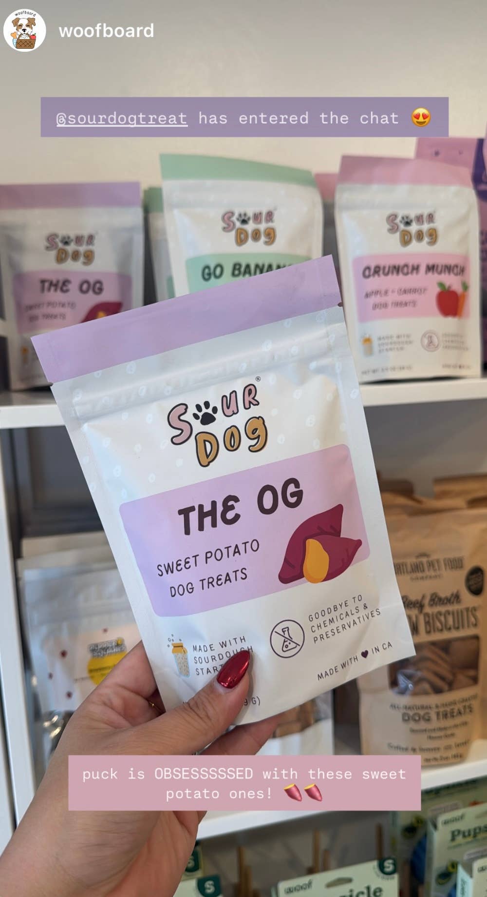 The OG - Sweet Potato Sourdough Dog Treats