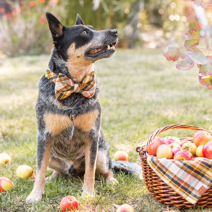 Cornucopia Flannel Fall Dog Bow Tie