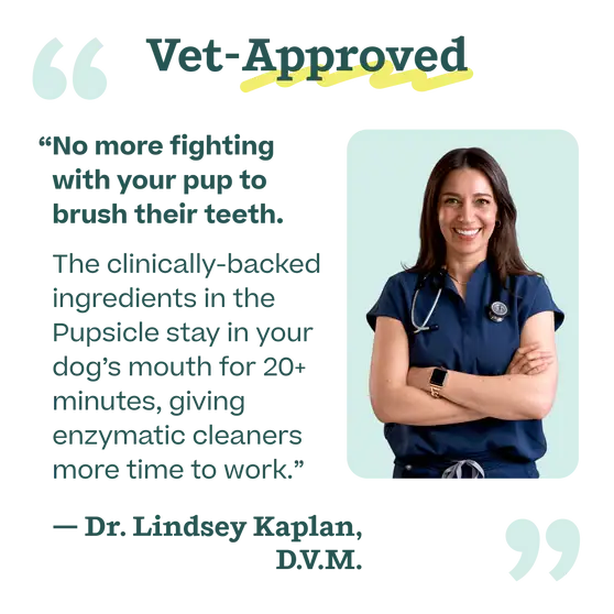 Pupsicle Mix- Doggy Dental