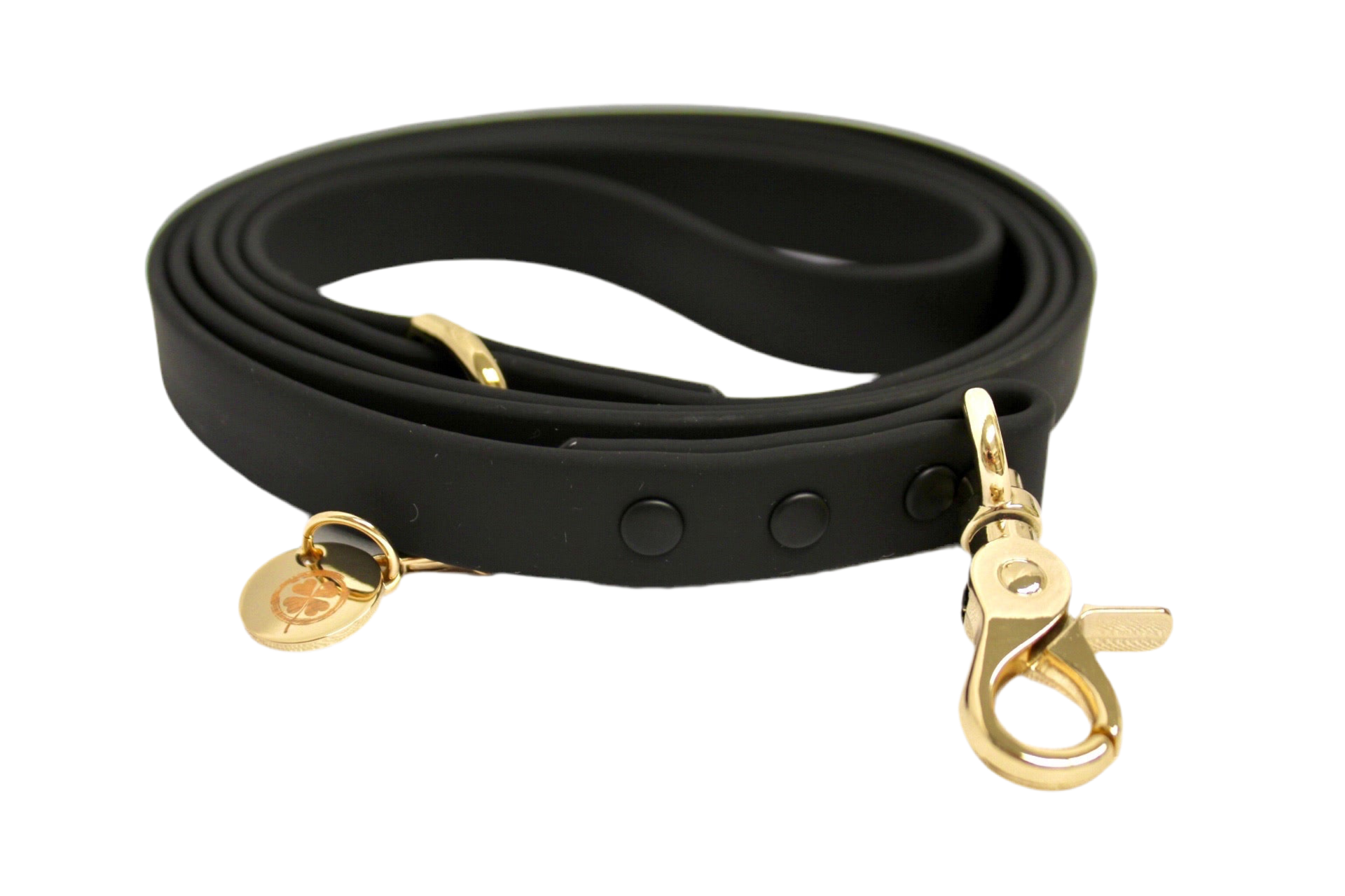 Lucky Dog Black Leash