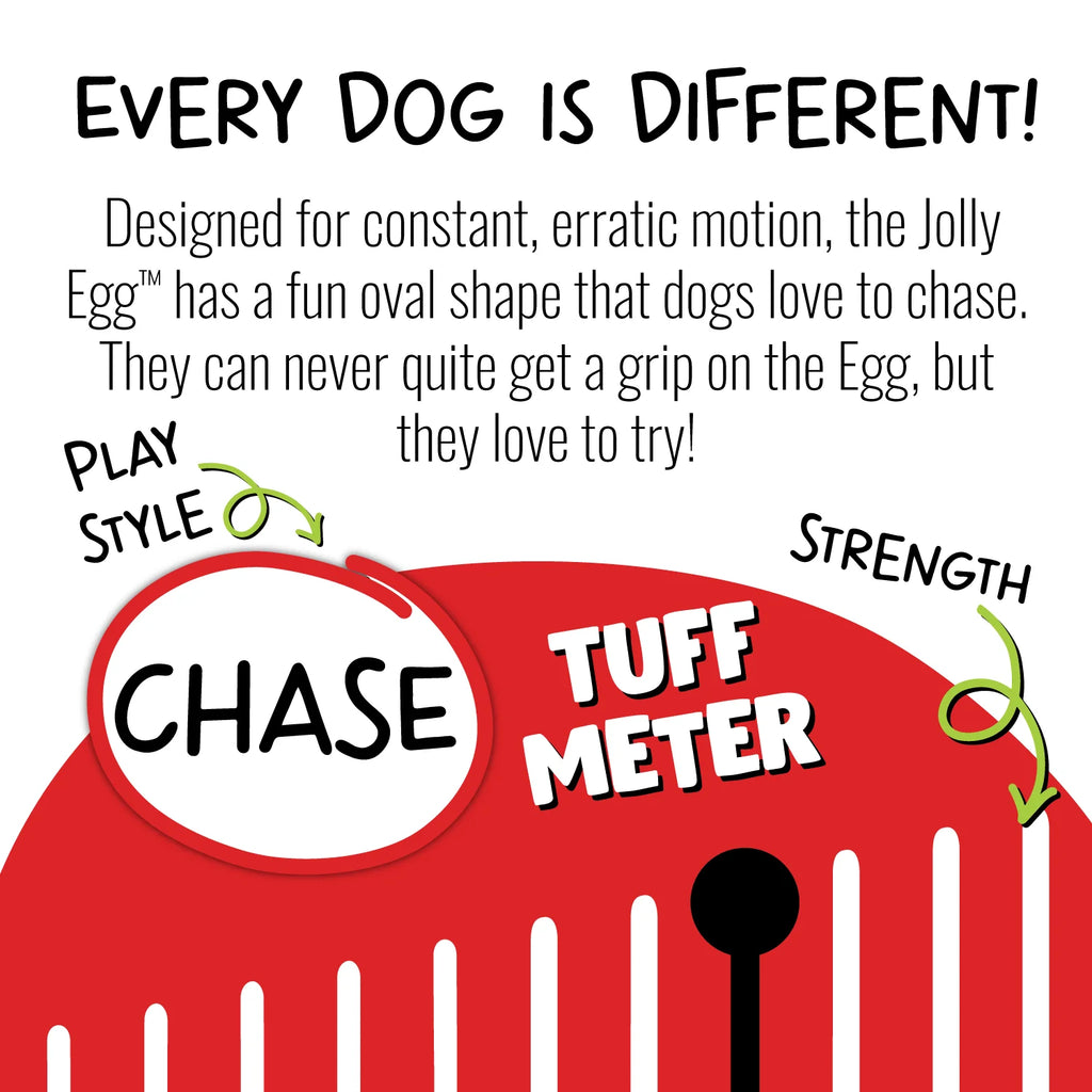 JollyPet Jolly Egg 8"