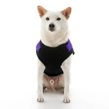 Bomber Vest: Violet
