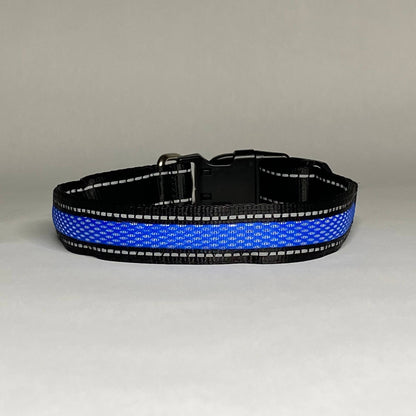 LED Dog Collar: Blue / Small