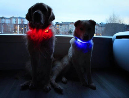 LED Dog Collar: Red