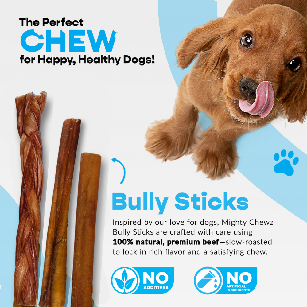 12" Jumbo Bully Sticks