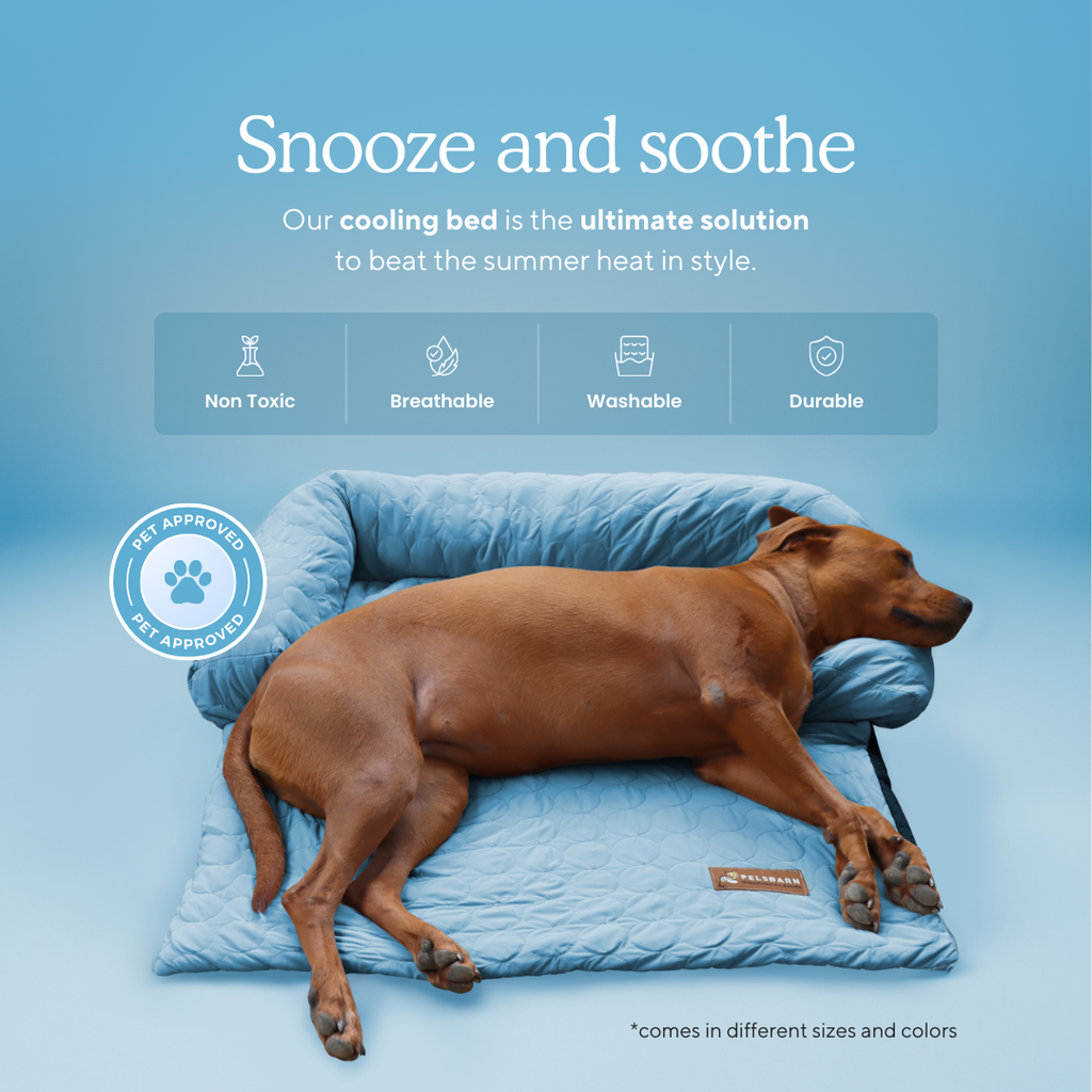 Cooling Dog Bed Heat Relief - Pelsbarn : Beige / M/L