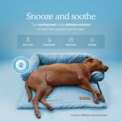 Cooling Dog Bed Heat Relief - Pelsbarn : Light Blue / M/L