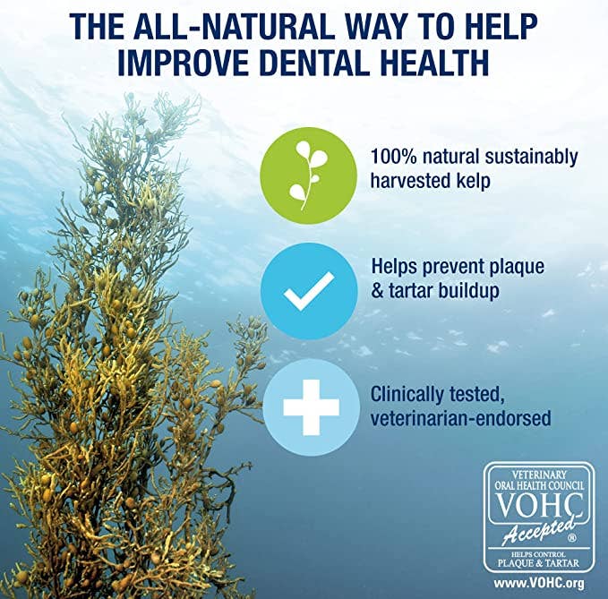 PlaqueOff Powder 60 Gram Bottle