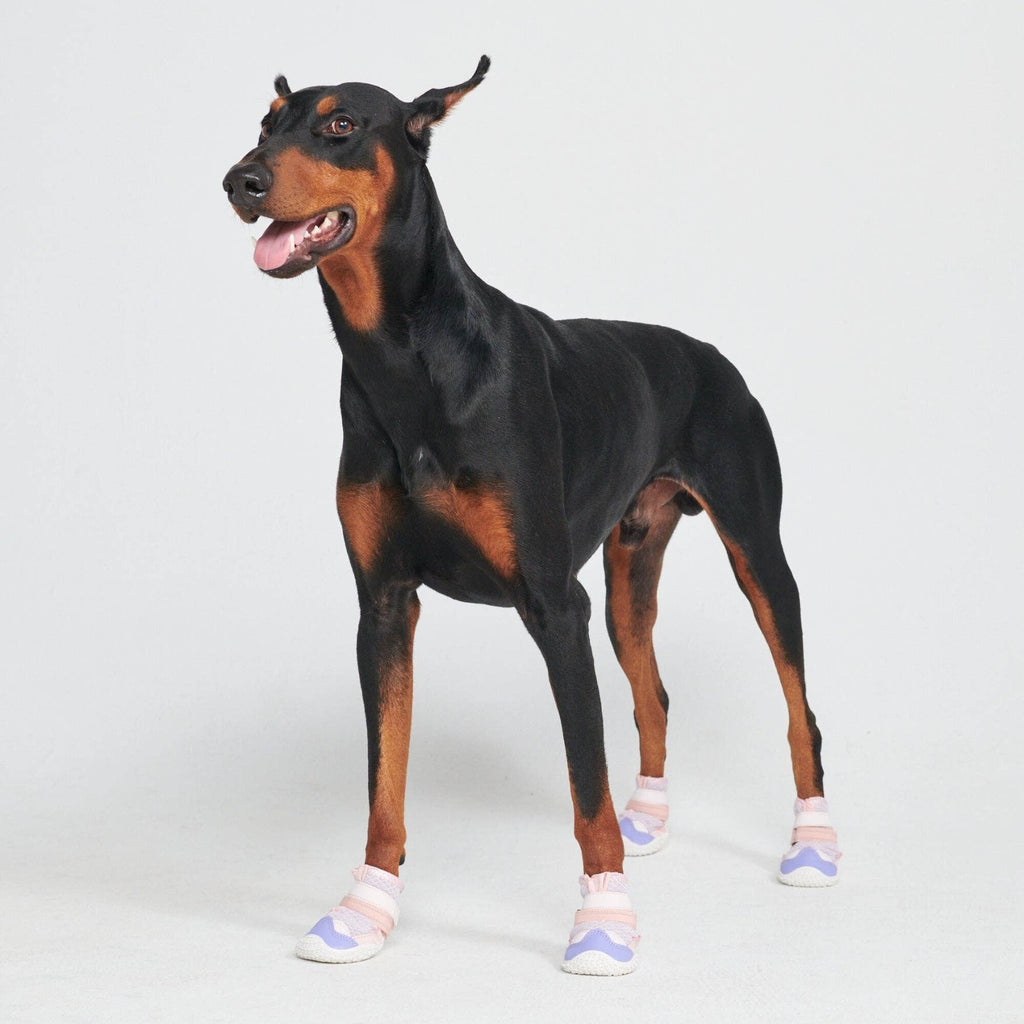 Hot Pavement Pawtector Dog Shoes - Pink Purple: E) Width: 3.0"/7.5cm for 75-95lbs/34-43kg