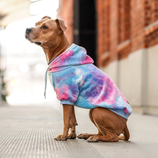 Velvet Dog Hoodie - Snow Cone