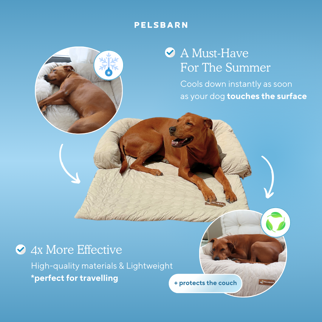 Cooling Dog Bed Heat Relief - Pelsbarn : Beige / M/L