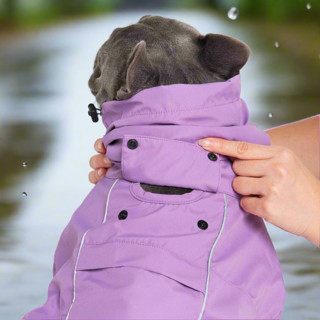 Breatheshield™ Dog Raincoat - Purple