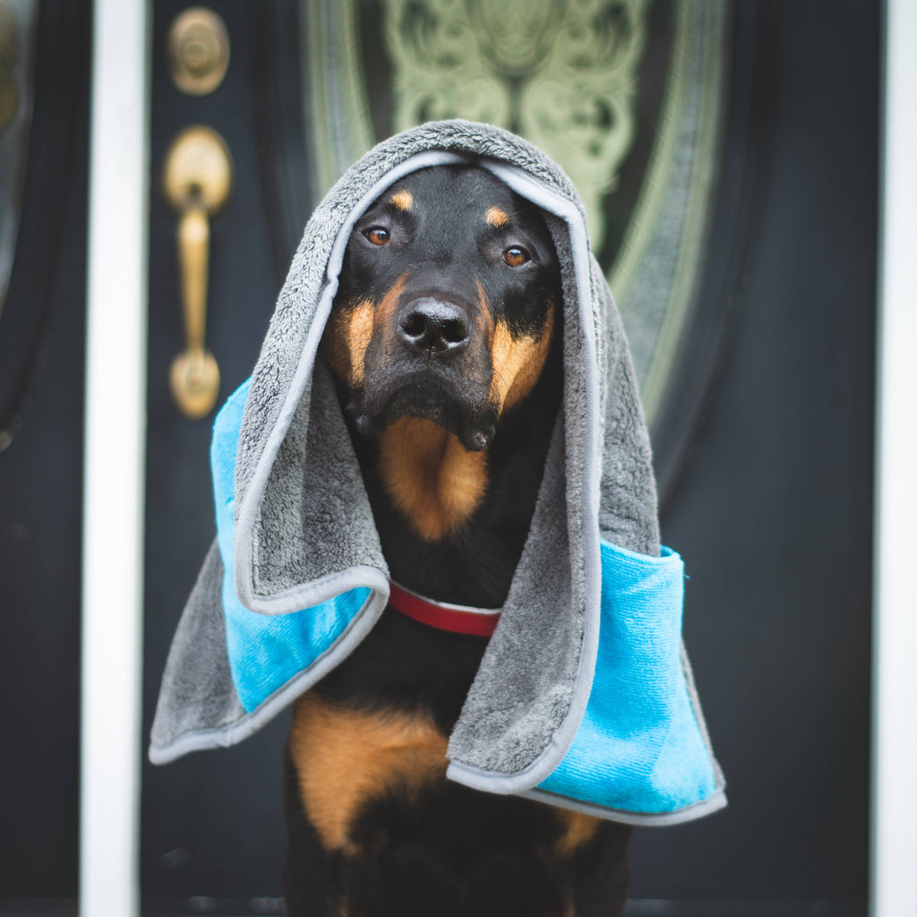 Messy Mutts Microfiber Towel -Cool Grey MED 20x32