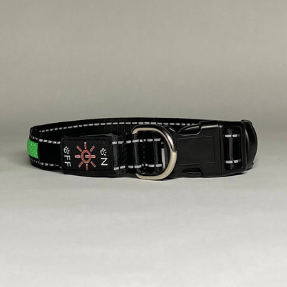 LED Dog Collar: Green