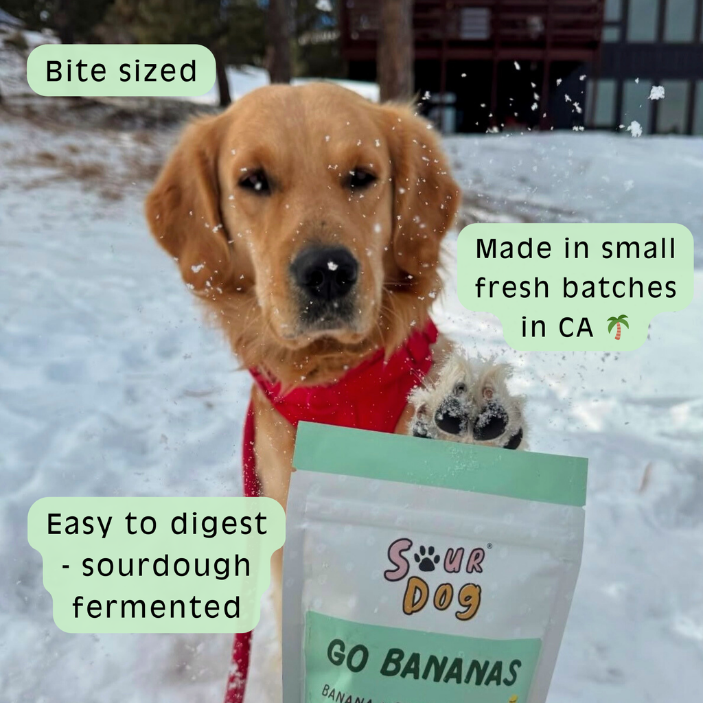 Go Bananas - Banana Sourdough Dog Treats