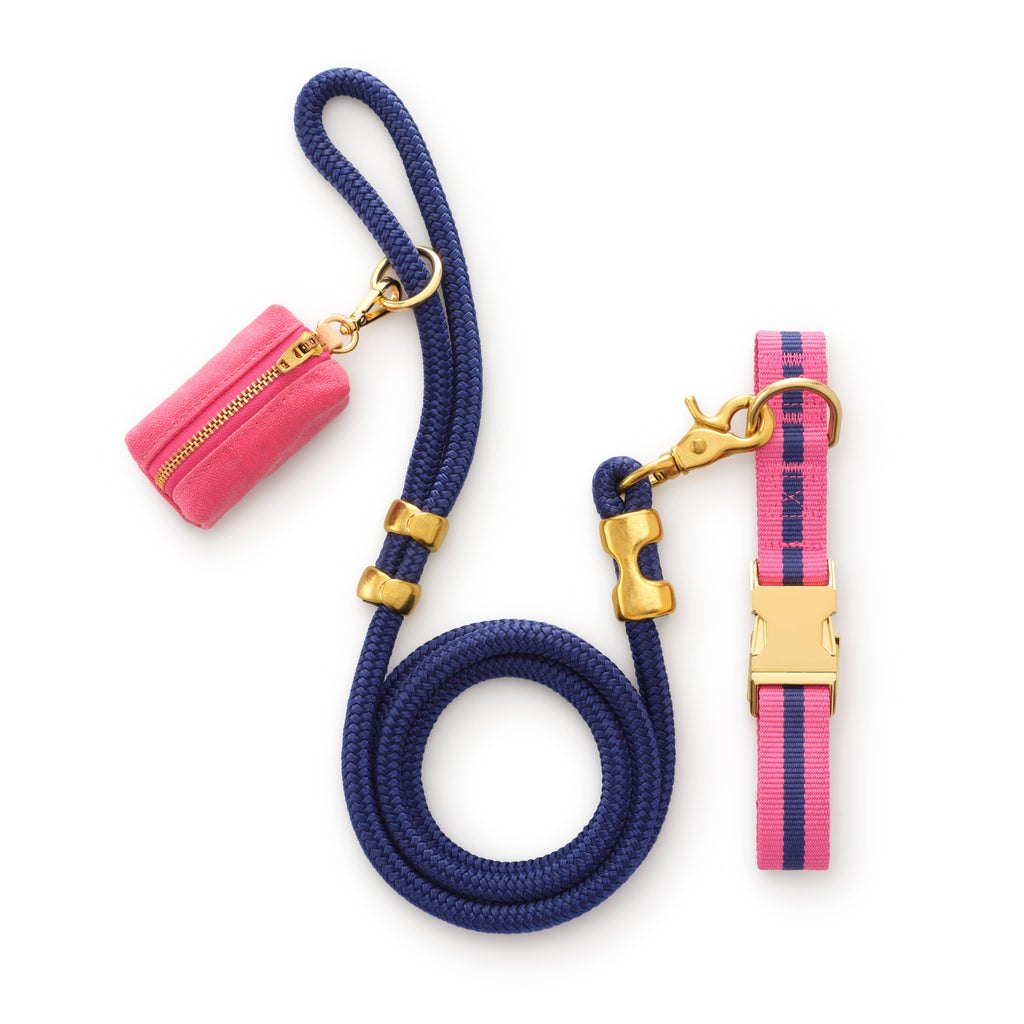 Sloane Striped Webbing Dog Collar