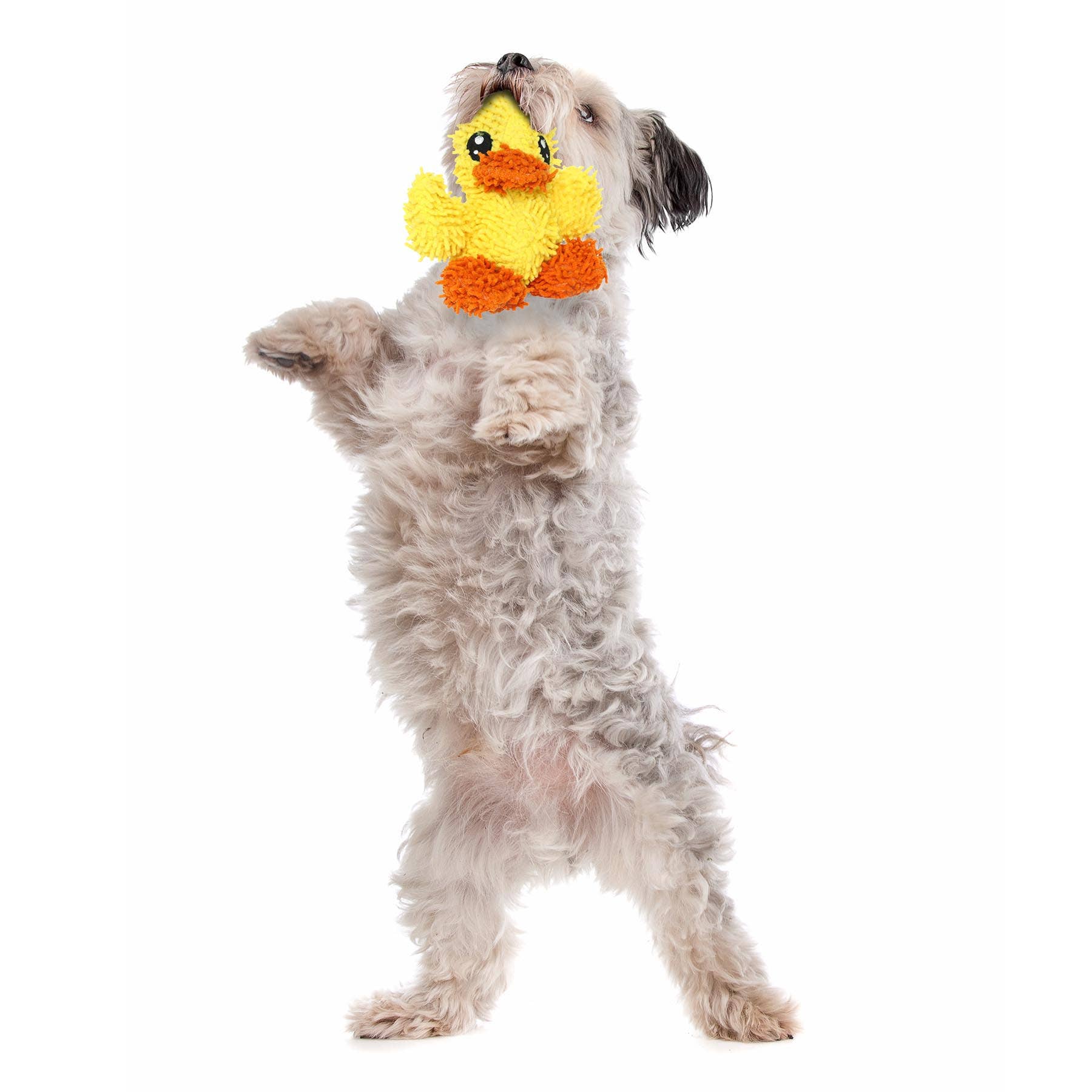 Mighty Jr Microfiber Ball Duck, Durable, Squeaky Dog Toy - Small