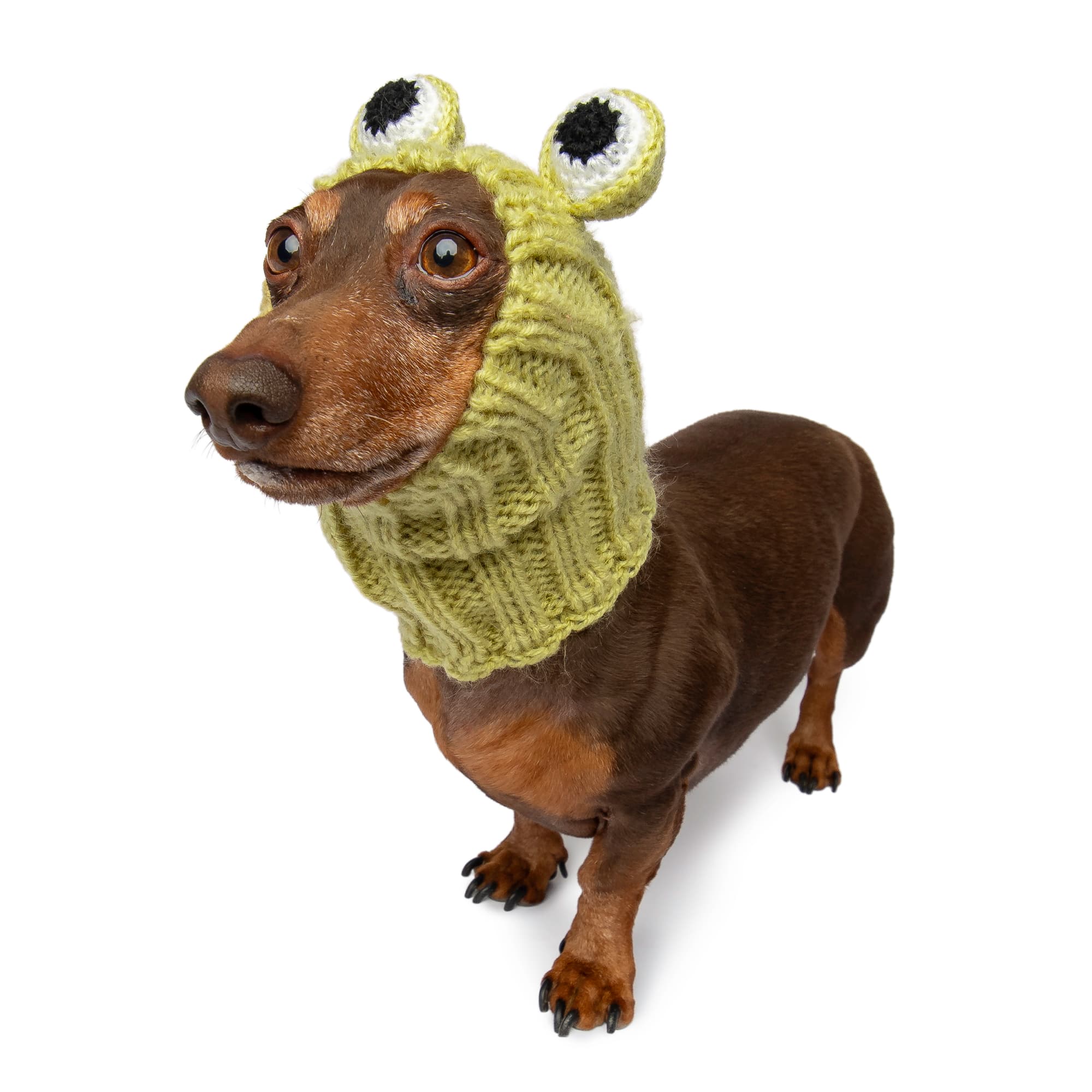 Frog Dog Snood