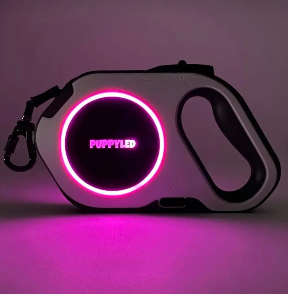 LED Retractable Dog Leash