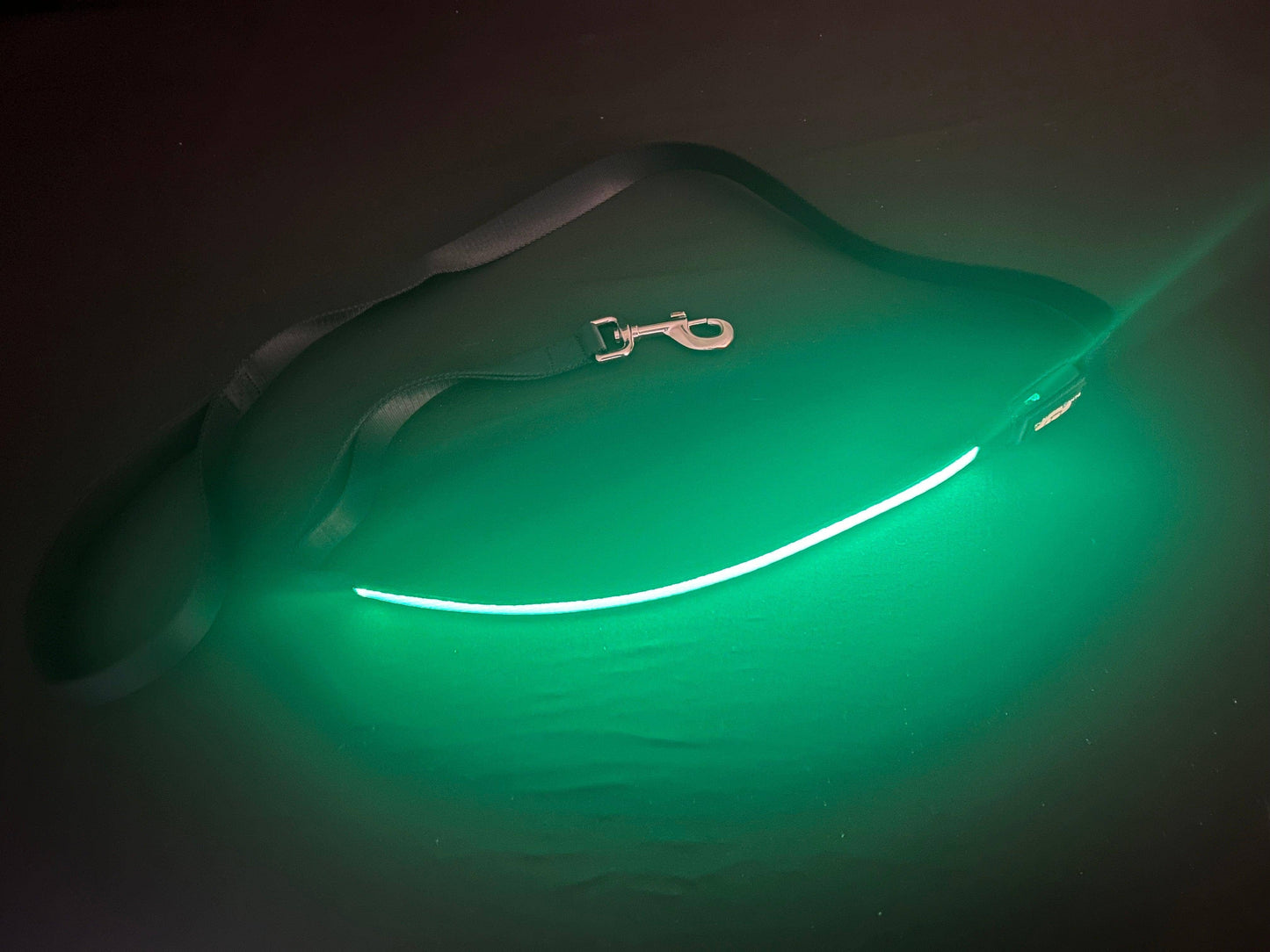 Light Up LED Dog Leash: Green