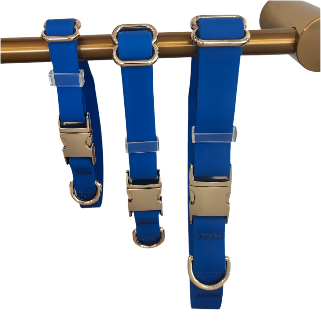 Royal Blue Dog Collar