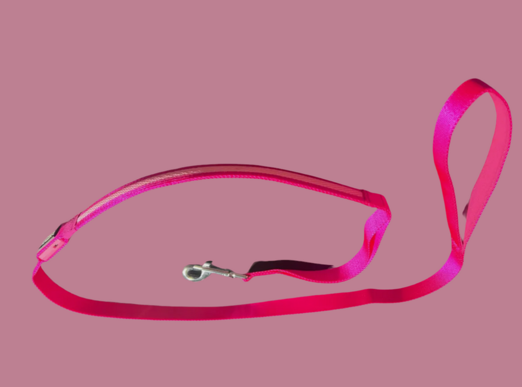 Light Up LED Dog Leash: Blue