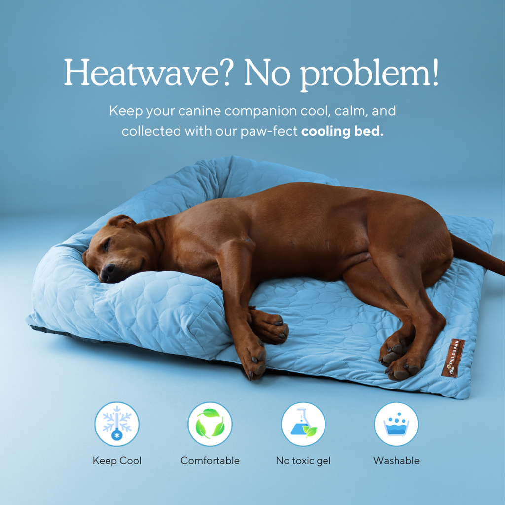 Cooling Dog Bed Heat Relief - Pelsbarn : Beige / M/L