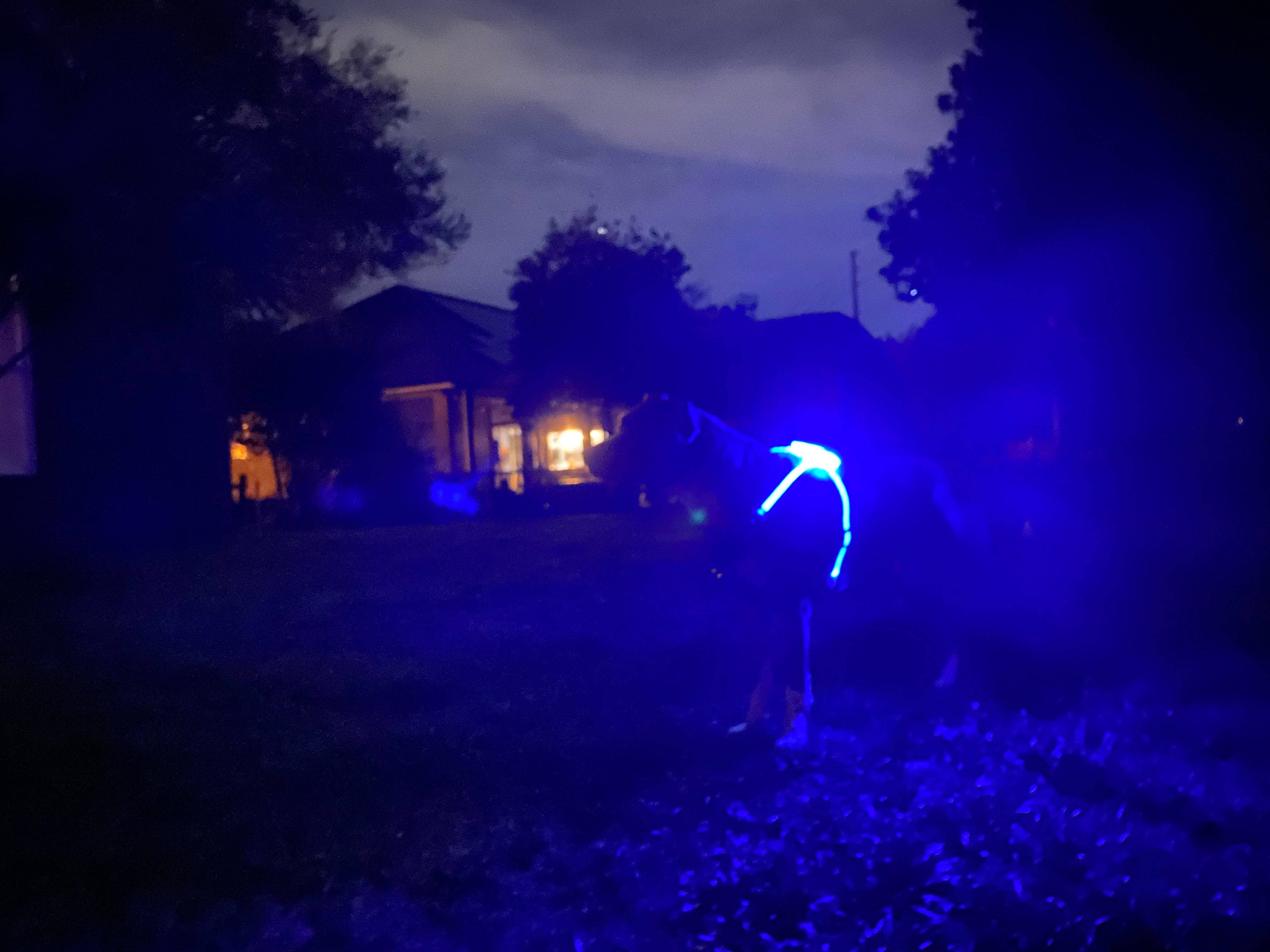 LED Dog Harness