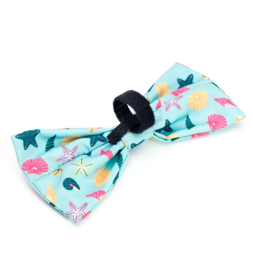 Seashells Bow Tie: Teal