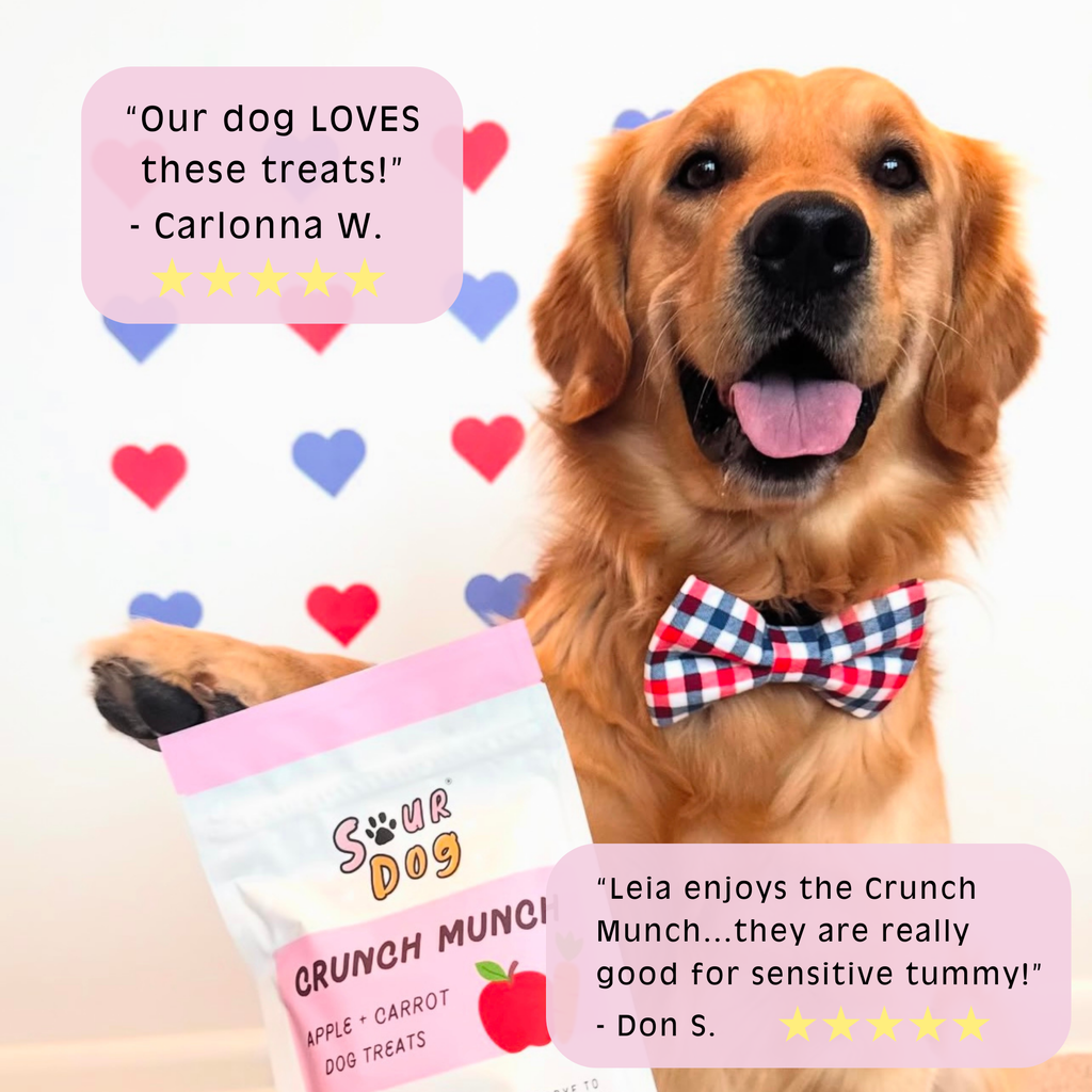 Crunch Munch - Apple & Carrot Sourdough Dog Treats