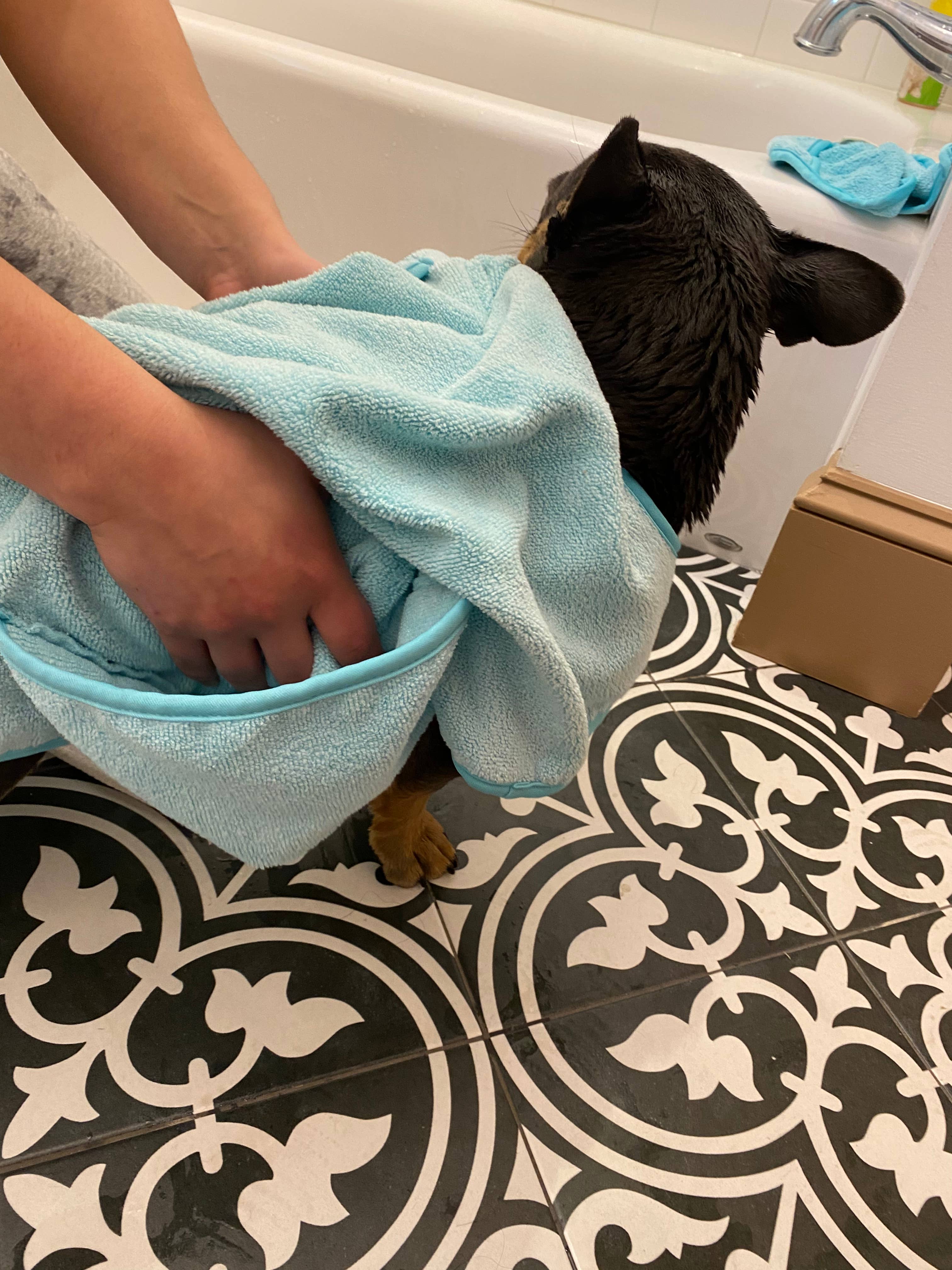 Aqua Absorbent Cape Dog Towel