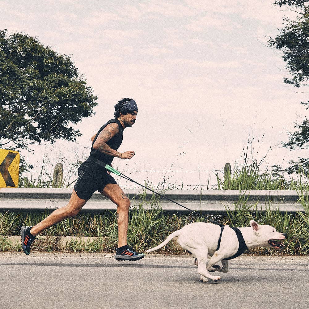 Running Belt | Zee.Run: One-Size