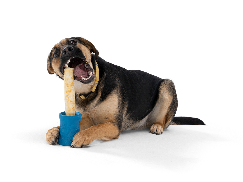 Funnl™ Dog Chew Treat-Dispensing Dog Toy