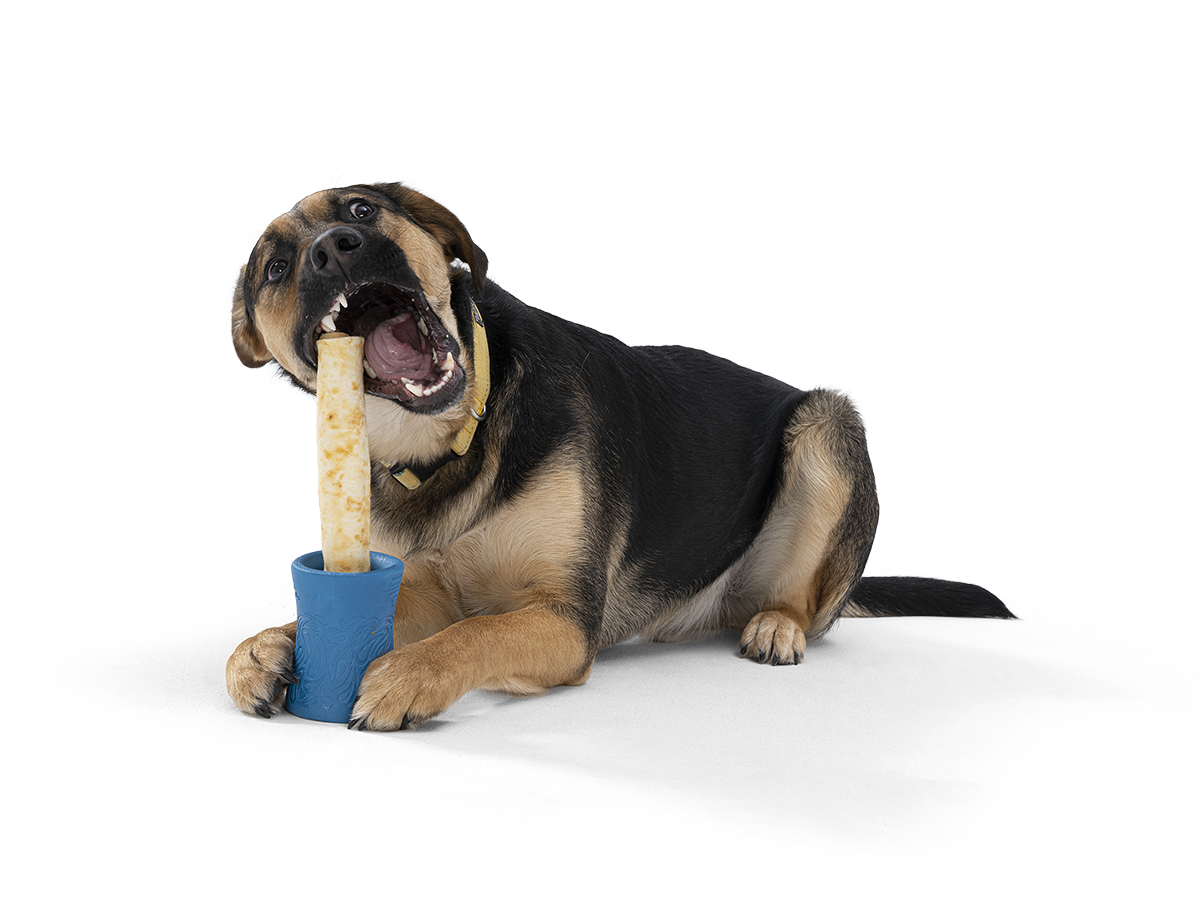 Funnl™ Dog Chew Treat-Dispensing Dog Toy